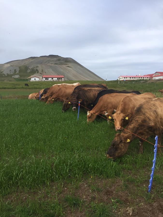 Eithi Farmhouse Grundarfjordur Exterior photo